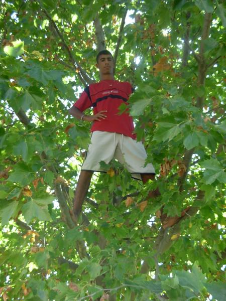 tarazan arrive hhhhhhhhhhhh